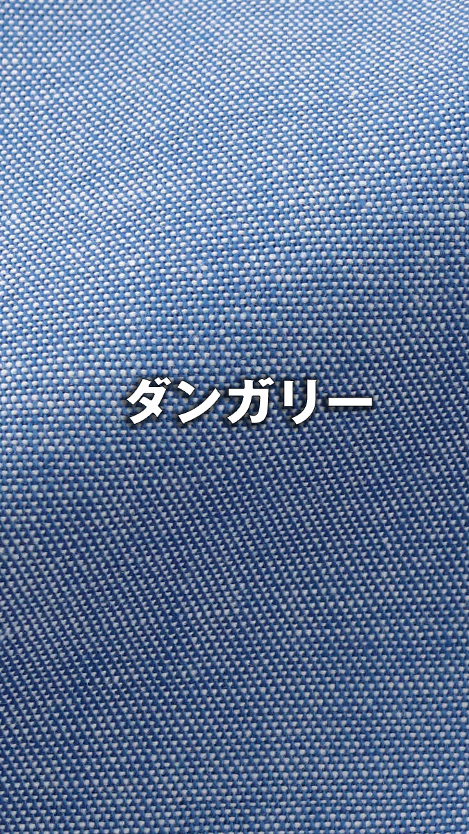 ダンガリー